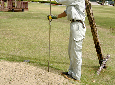 樹木医診断とは